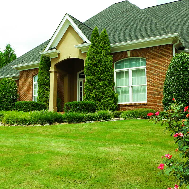 Services-flower,-shrub-&-tree-placement-pic Landscaping in Chattanooga